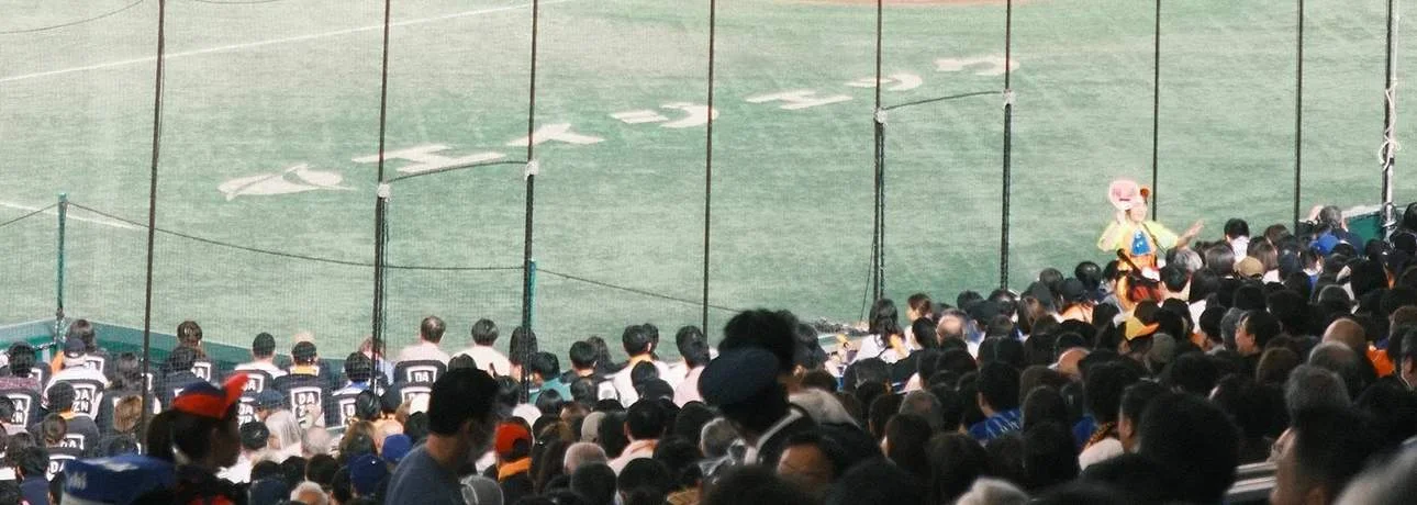 Tokyo Baseball Game: Watch Yomiuri Giants with English-Speaking Expert Guide