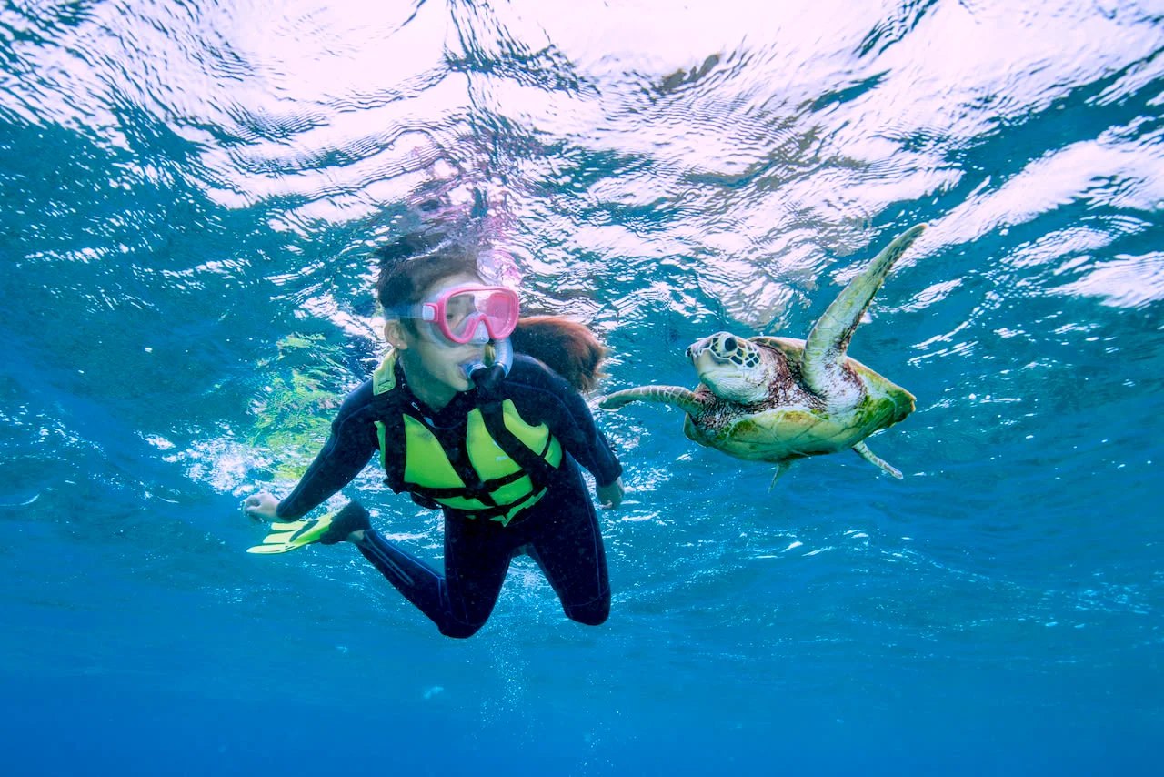 サマーリゾート宮古島 ウミガメと泳ぐシュノーケリングツアー