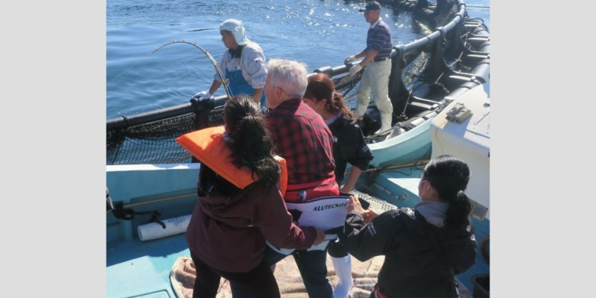 愛媛 宇和島 養殖マグロ一本釣り体験＋マグロ解体ライブ 予約