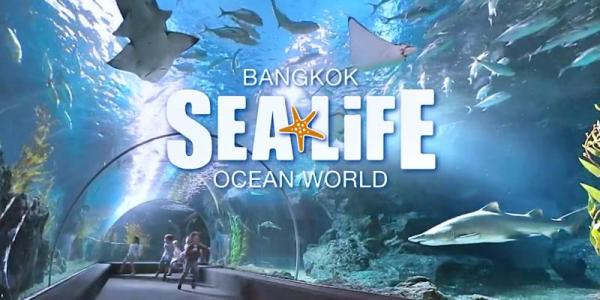 シーライフ バンコク 入場Eチケット予約 ＜サイアムパラゴンの水族館