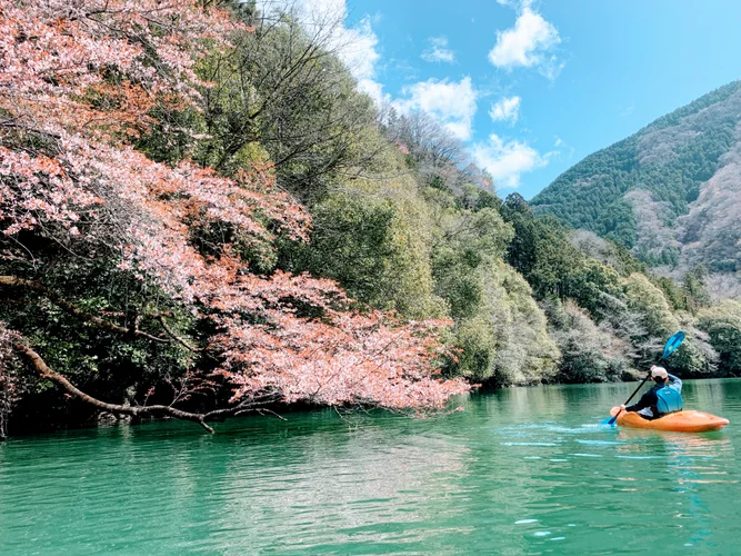 Tokyo Travel Guide  Tokyo Tourism - KAYAK