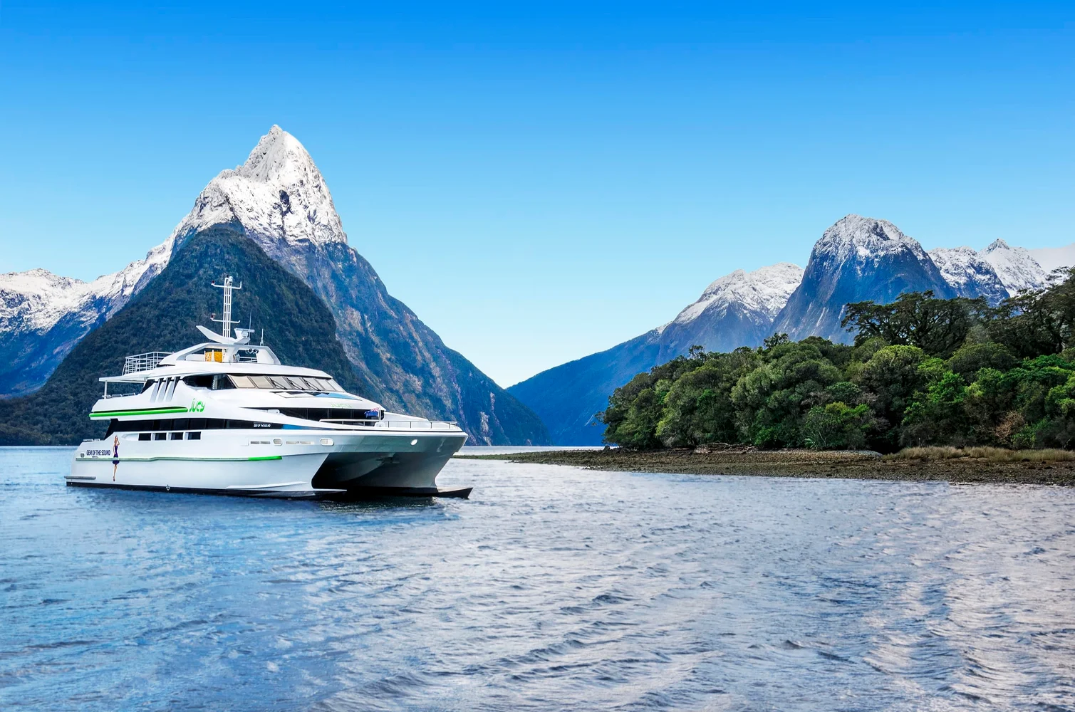 Cruise Milford Sound, New Zealand's 8th Wonder of the World