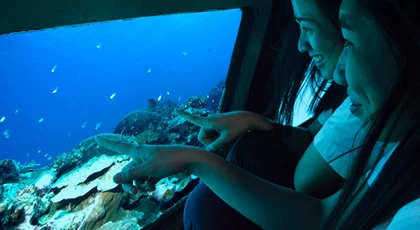 Naha Underwater Sightseeing Cruise “Orca” E-Ticket in Okinawa