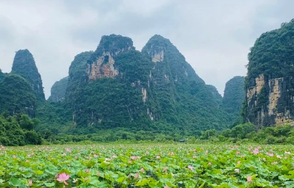 中国 満喫桂林！筏での漓江下り＋相公山＋印象劉三姐実景ショー 日帰り観光＜日本語ガイド／食事付き＞