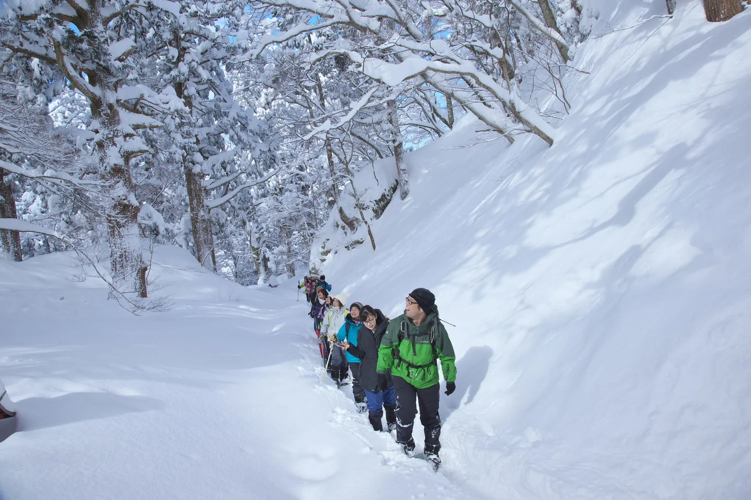Snowshoe Trekking Tour on Mt. Daisen in Tottori Japan