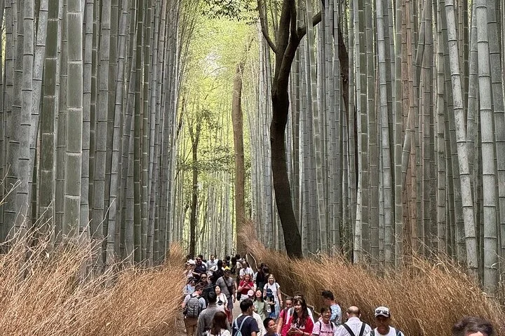 Treasures of Kyoto: Gion & Historical Walking Tour (Private)