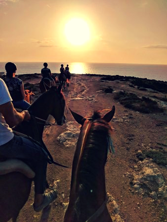 Sunset Horseback Experience at Mellieha, Malta