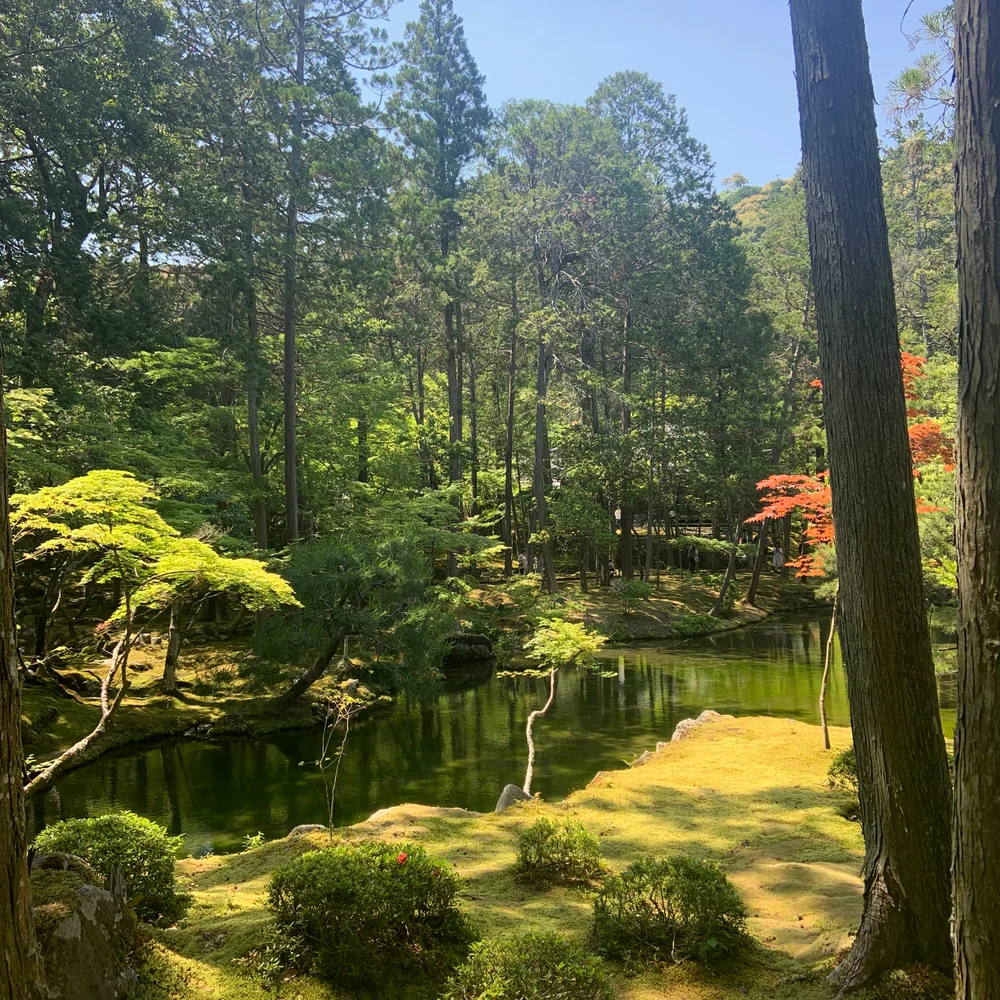 A pond in Saihō-ji (Moss Temple) in Kyoto