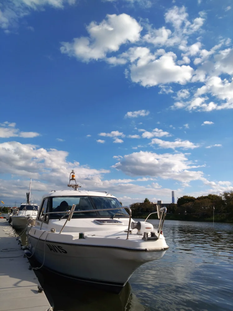 Tokyo Sumida River Cherry-Blossom Viewing Private Cruise [Mar 20 to Apr 14]