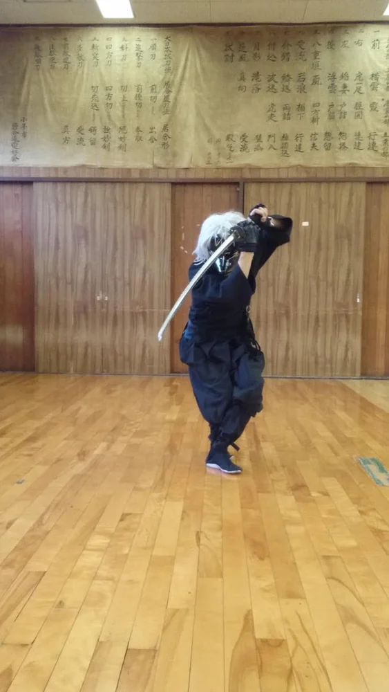 Join a Shinkage-ryu Bujutsu Martial Art Workshop, Tokyo