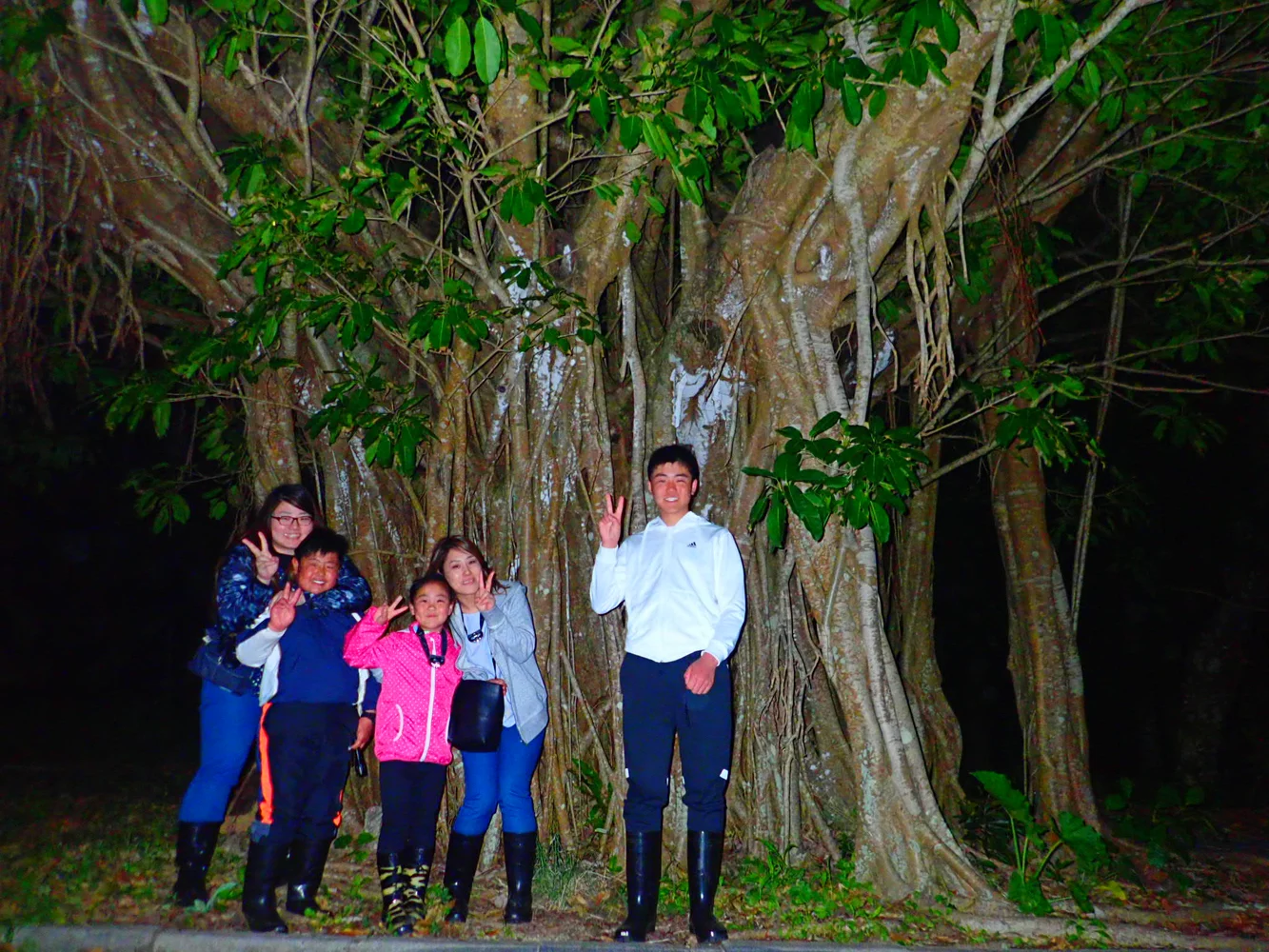Ishigaki Island Stargazing & Night Jungle Tour in Okinawa
